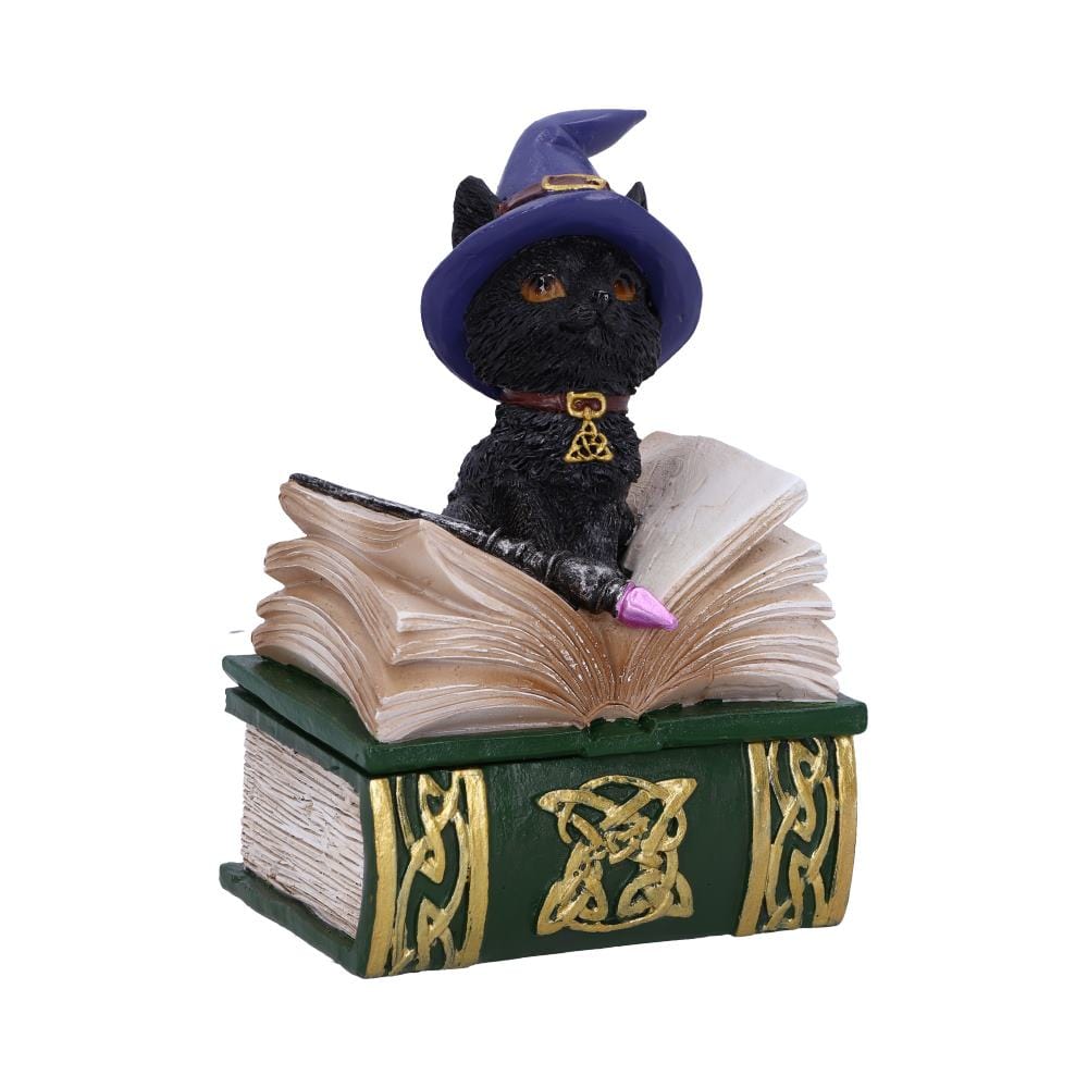 Binx Small Witches Familiar Black Cat and Spellbook Figurine Box