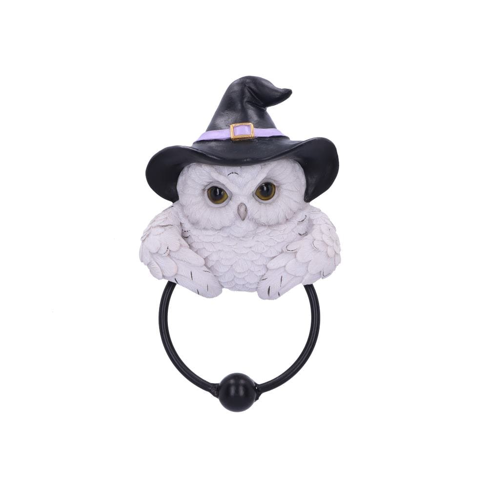 Snowy Owl Magic Door Knocker 21cm